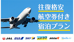 往復格安航空券付き宿泊プラン